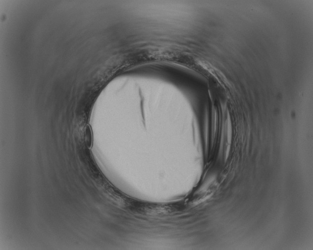 X0000087390513200705181310