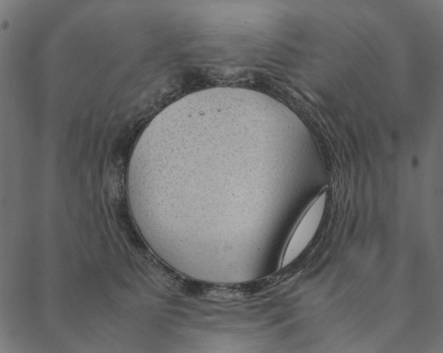 X0000087390515200705181310