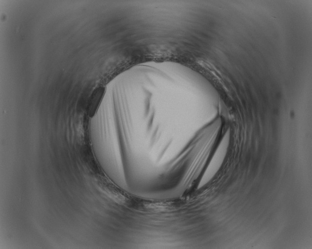 X0000087390516200705181310