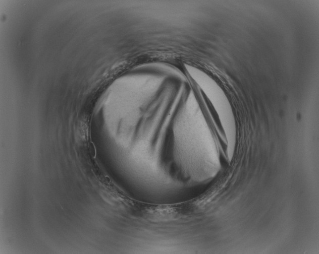 X0000087390517200705181310