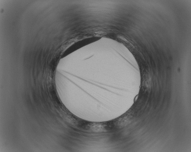 X0000087390518200705181310