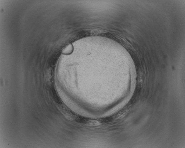 X0000087390519200705181310