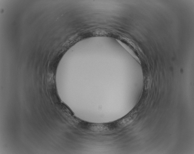 X0000087390521200705181310