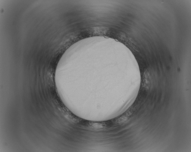 X0000087390522200705181310