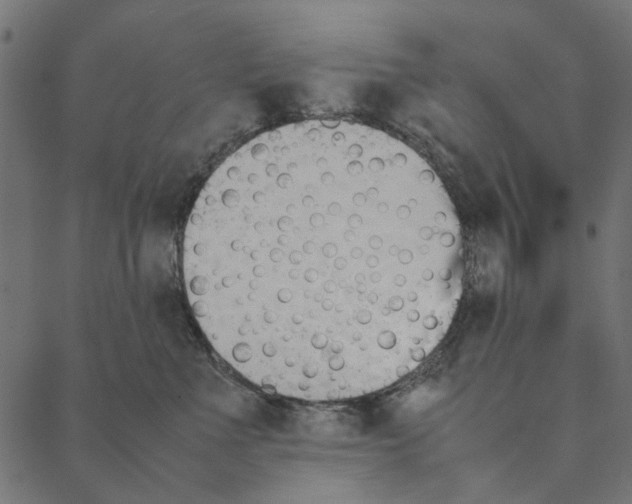 X0000087390523200705181310