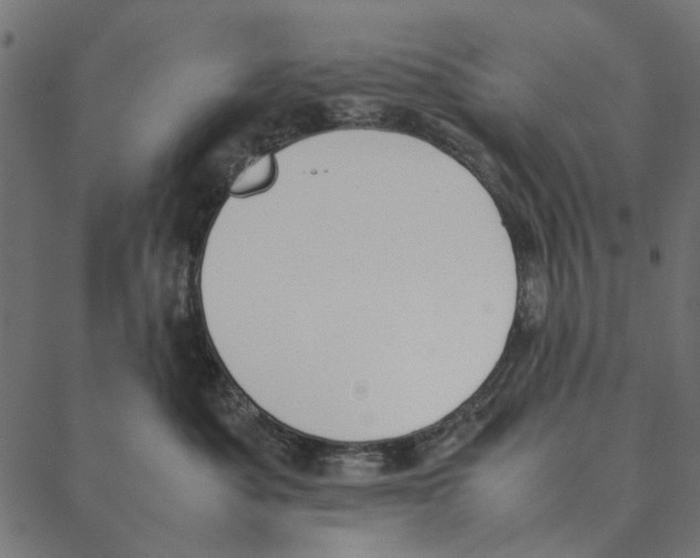 X0000087390525200705181310