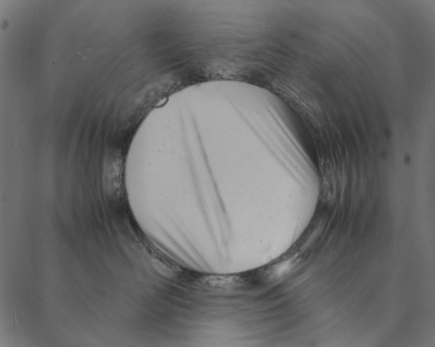 X0000087390526200705181310