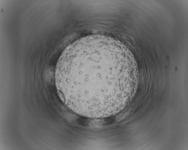 X0000087390527200705181310