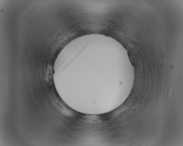 X0000087390528200705181310