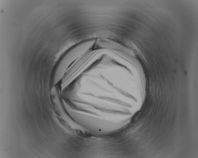 X0000087390530200705181309