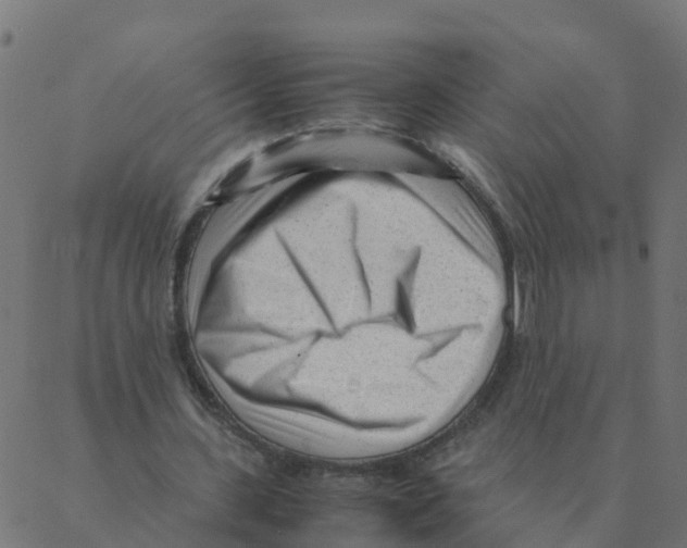 X0000087390531200705181309