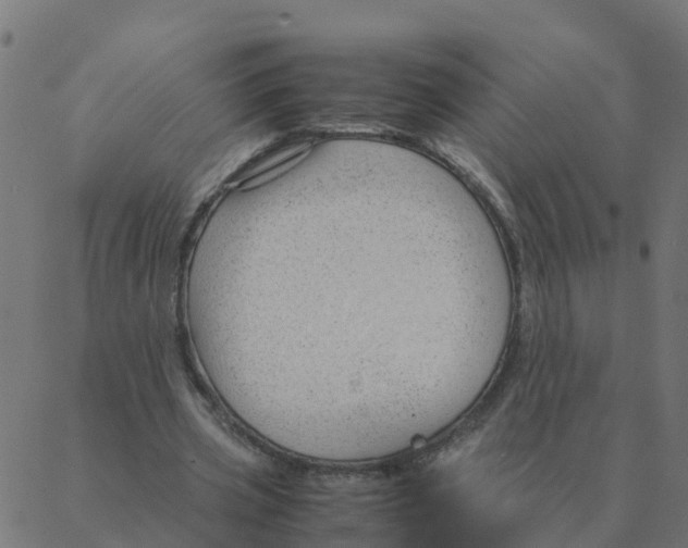 X0000087390533200705181309