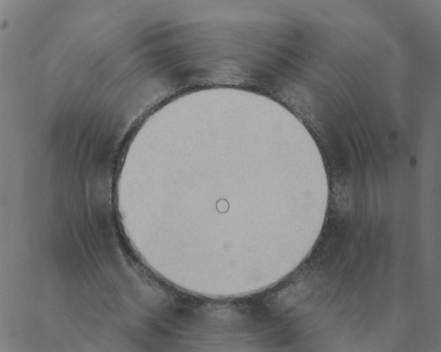 X0000087390534200705181309