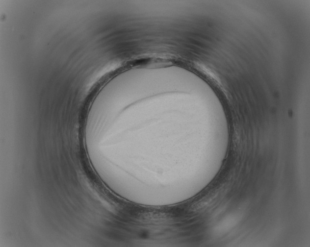 X0000087390535200705181310