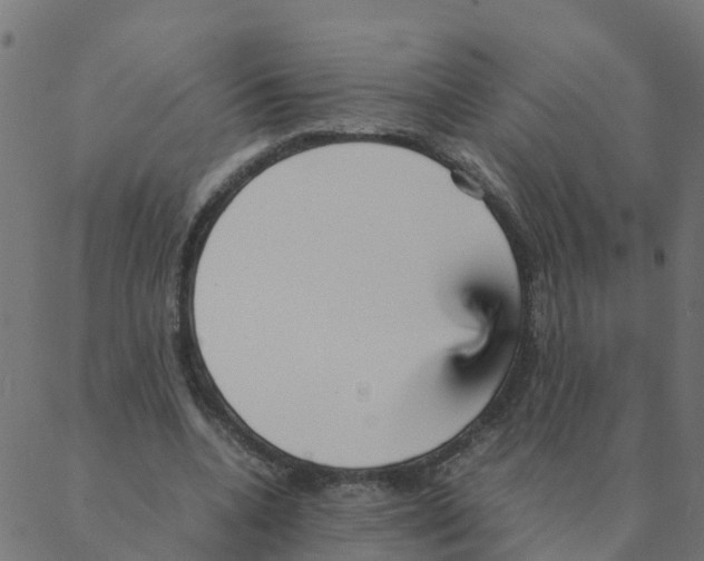 X0000087390536200705181310