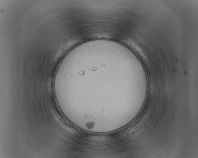 X0000087390537200705181310