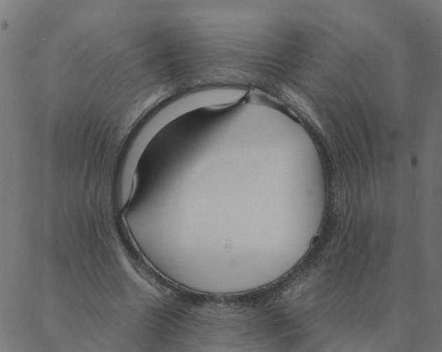 X0000087390538200705181310