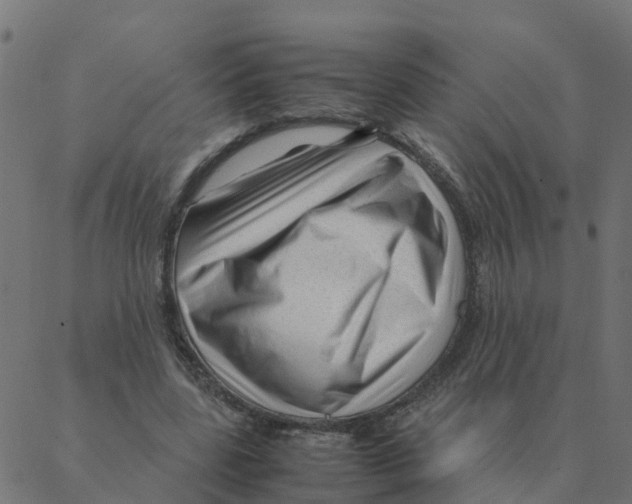 X0000087390539200705181310