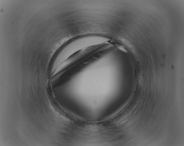 X0000087390540200705181310