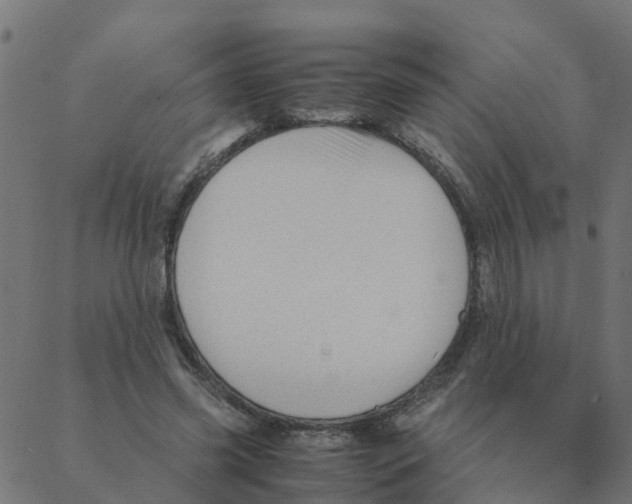 X0000087390541200705181310