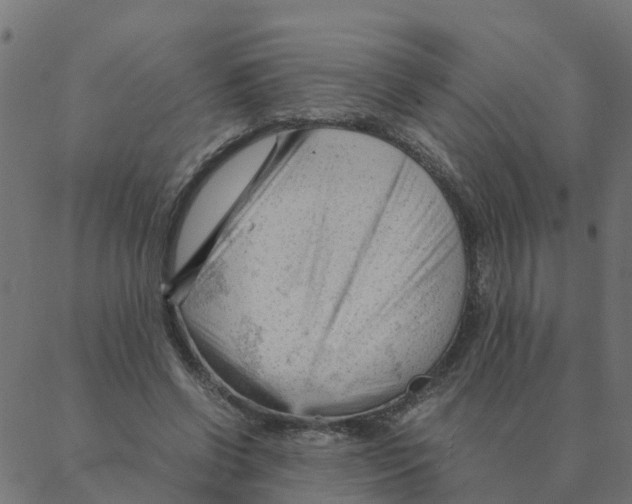 X0000087390542200705181310