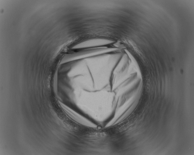 X0000087390543200705181310