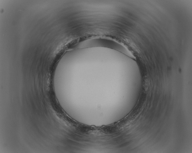 X0000087390544200705181310