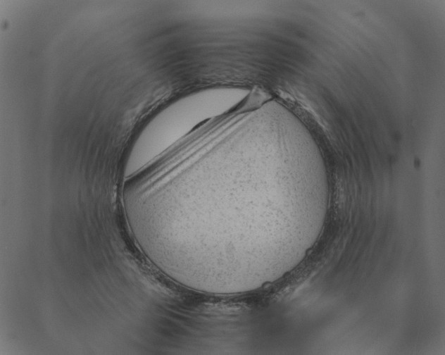 X0000087390545200705181310