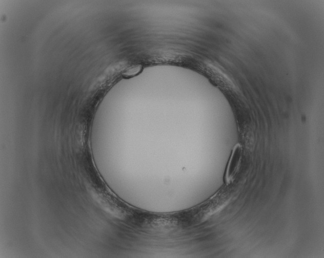 X0000087390546200705181310