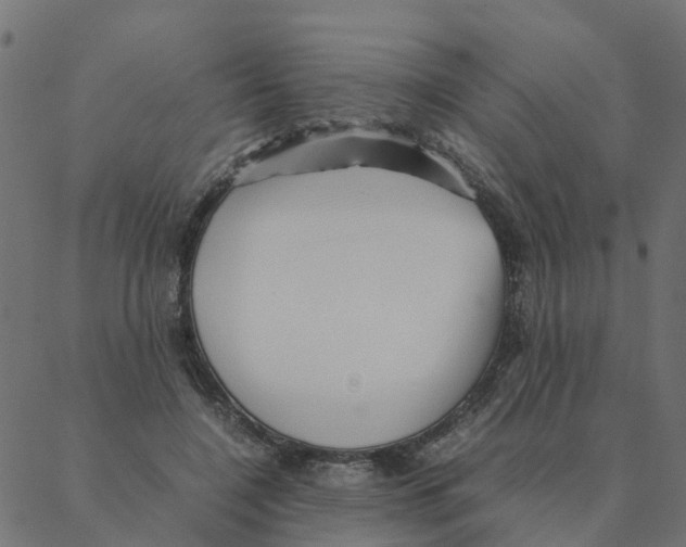 X0000087390548200705181310