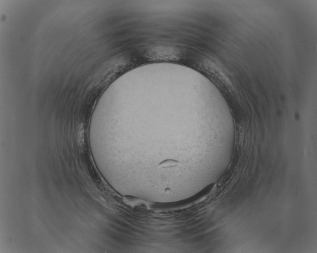 X0000087390549200705181310