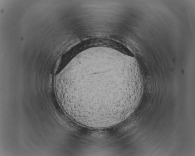 X0000087390550200705181310