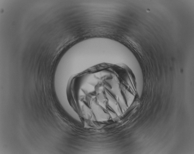 X0000087390552200705181310