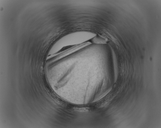 X0000087390553200705181310