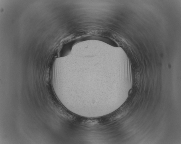 X0000087390554200705181310