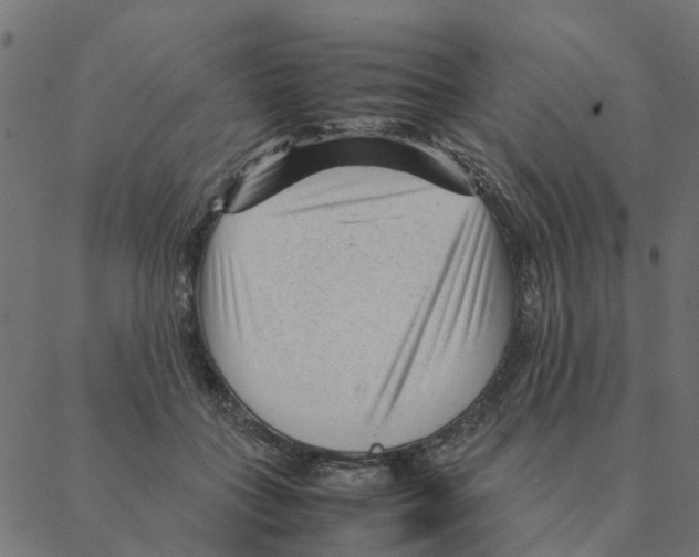 X0000087390555200705181310