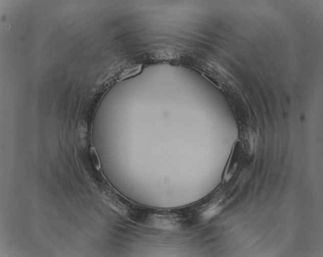 X0000087390556200705181310