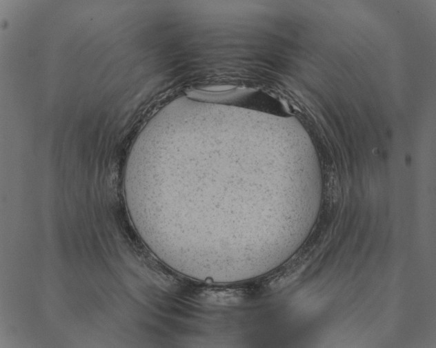 X0000087390557200705181310