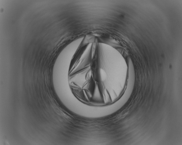 X0000087390558200705181310