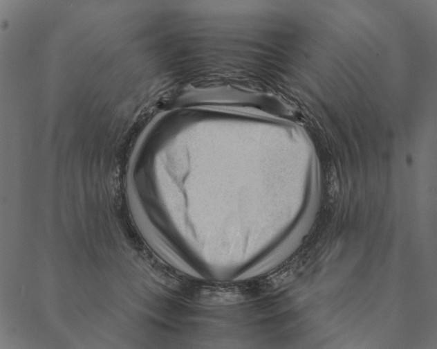 X0000087390559200705181310