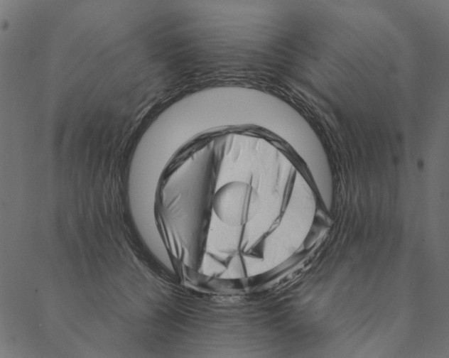 X0000087390560200705181310