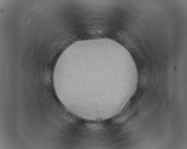 X0000087390561200705181310