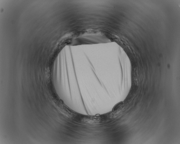 X0000087390563200705181310