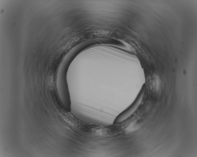 X0000087390564200705181310