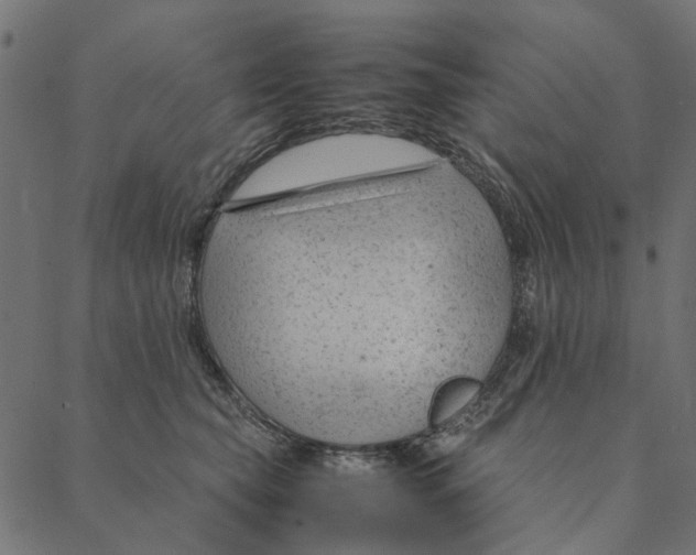 X0000087390565200705181310