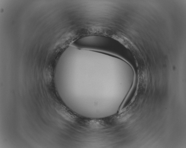 X0000087390566200705181310