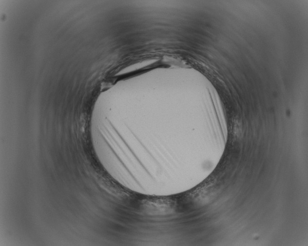 X0000087390567200705181310