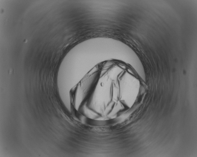 X0000087390568200705181310