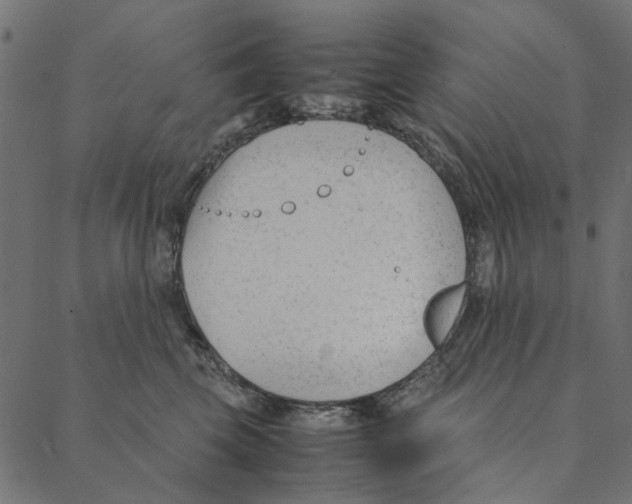 X0000087390569200705181310