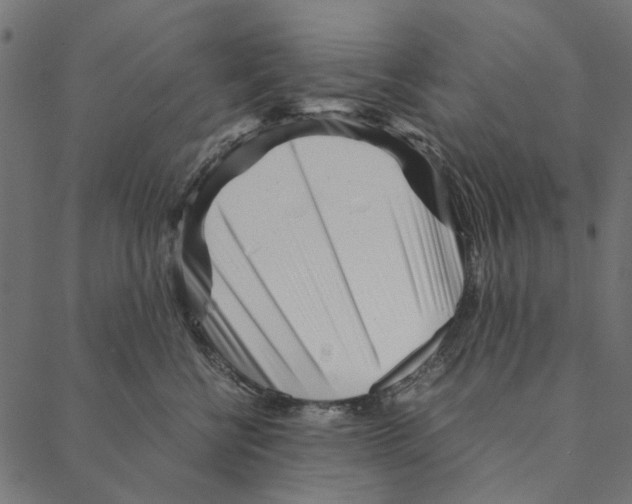 X0000087390570200705181310